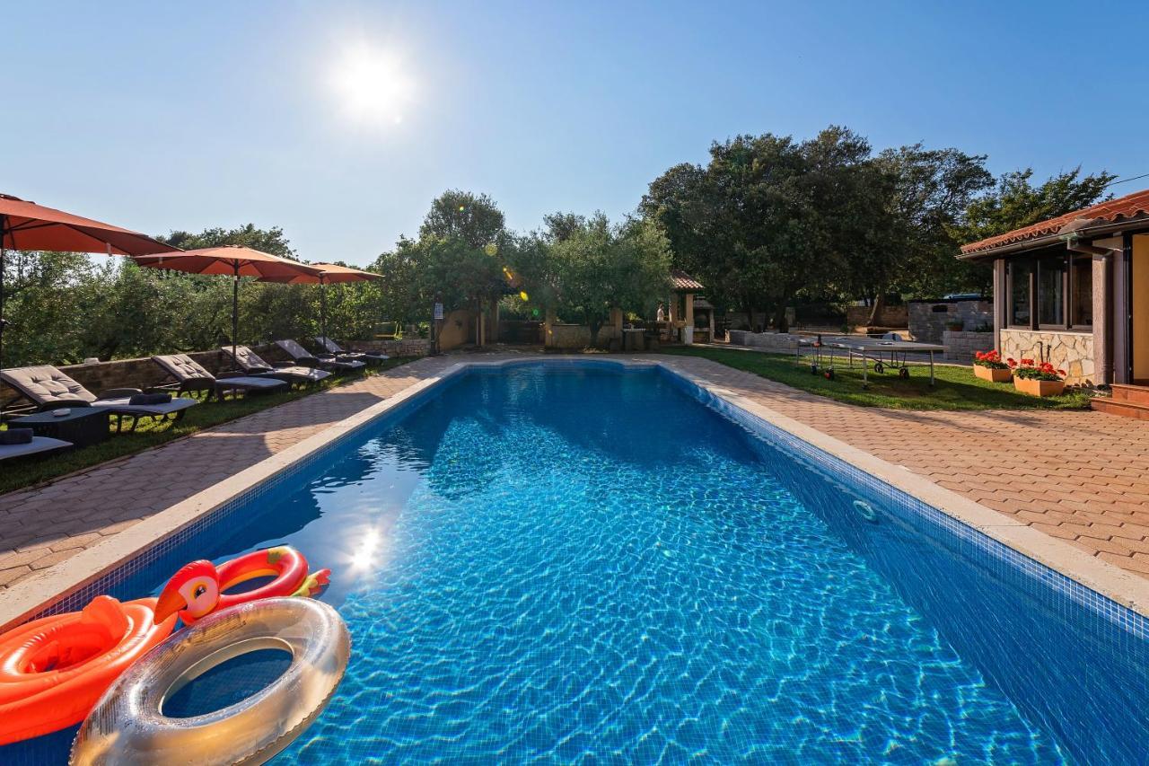 Guesthouse "Barboska" - Big Outdoor Swimming Pool & Private Tennis Court 보드냔 외부 사진