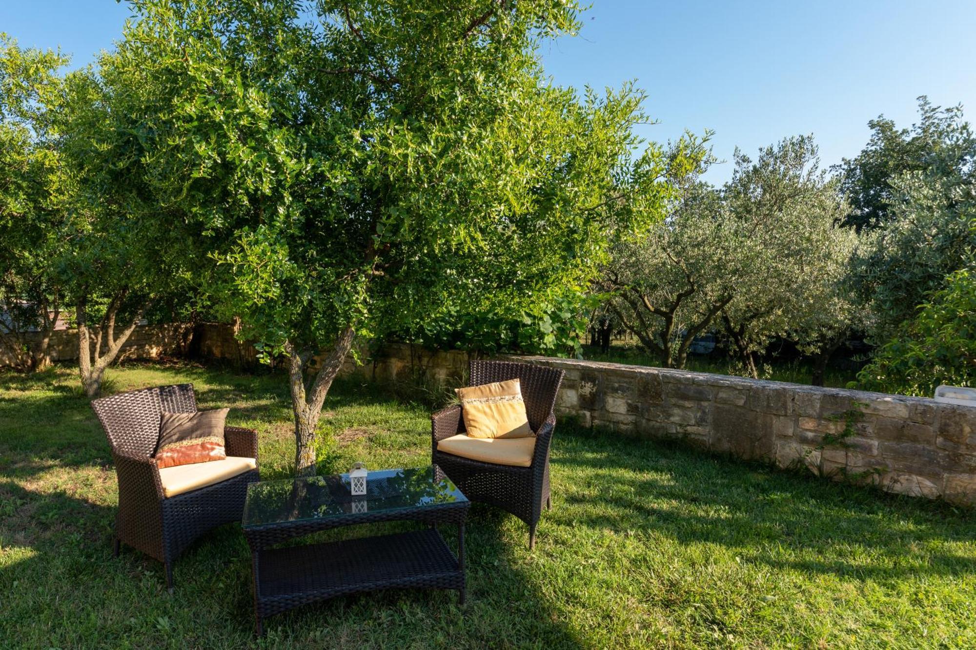 Guesthouse "Barboska" - Big Outdoor Swimming Pool & Private Tennis Court 보드냔 외부 사진